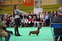 Crufts2011_2 1026